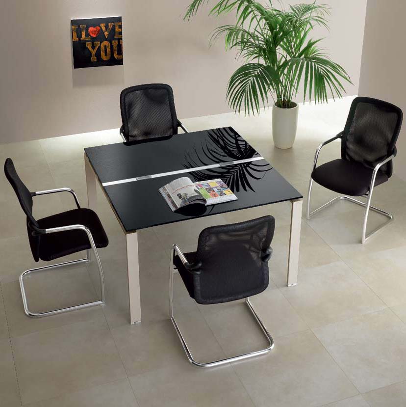 US-UFFICIO-RIUNIONE-NUOVATECNOCOPY (7)